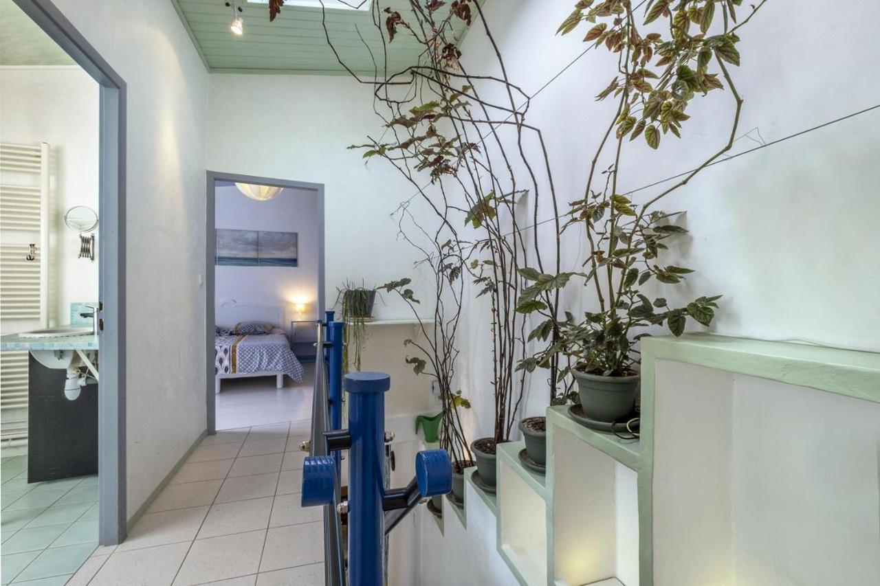 ロシュフォールLes Volets Bleus T3 De 80 M2 Patio Privatifアパートメント エクステリア 写真